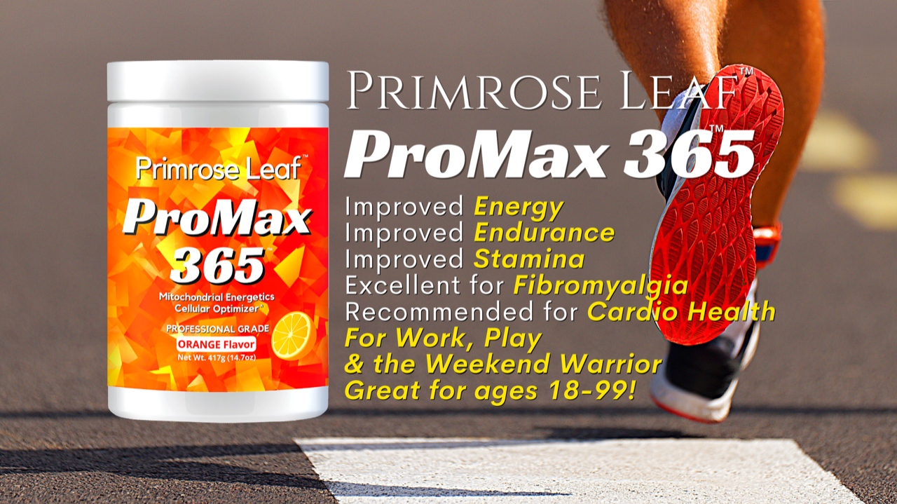 PROMAX 365 Orange